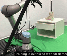 cqn.gif